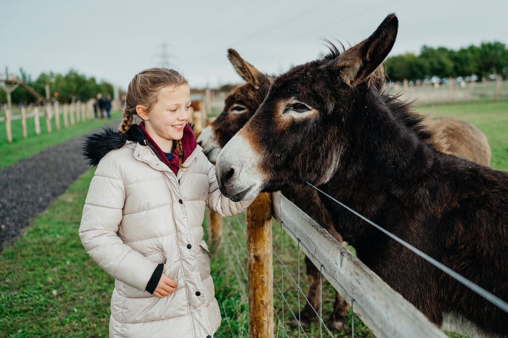 Pumpkins After Dark at Over Farm | Over Farm – Farm Shop, Family Fun ...