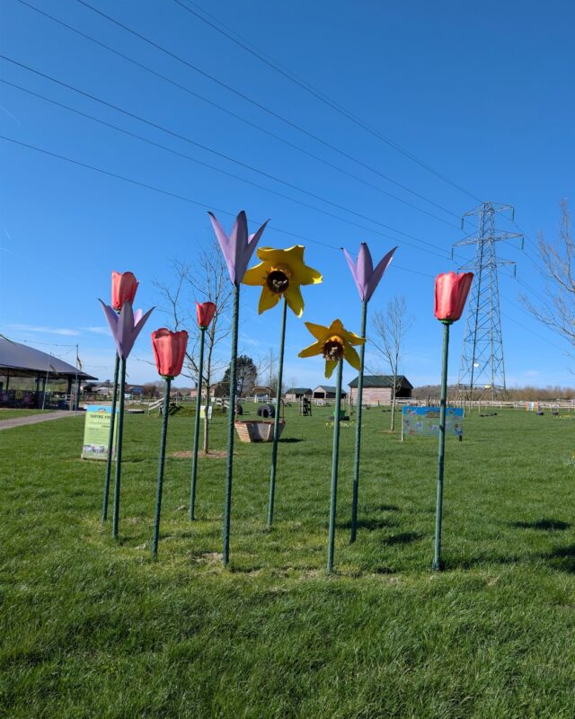 Easter Eggstravaganza is back!! 🐰

Join us today for: 
🐣 Marky Jay Variety Show
🐣 Mystery trail (with a prize!)
🐣 Tractor-trailer rides
🐣 Face painters *
🐣 Mini golf
🐣 Bouncing pillows
🐣 Easter crafts *
🐣 Fantastic food from Molto Bene Pizzaria, Saveur des Crepes and Over Farm Catering *
🐣 Animal trail

Get your tickets before slots sell out online now 🐰🎟️