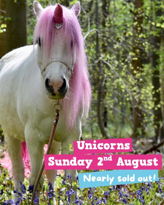 🚨 This is not a drill! 🚨

Our unicorn day is nearly sold out! 🫢🦄

If you would like to join us for our Big Summer Blowout on the 2nd of August and have the chance to meet three magical unicorns, then you'll want to be quick 👀

Just look for the pink dot on the calendar when booking your tickets 🩷🔗