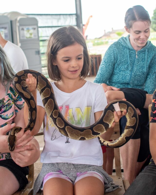 It wouldn't be May half-term without our friends at Roaming Reptiles! 🐢

Join us on:
🦎 Saturday 23rd May
🦎 Sunday 24th May
🦎 Saturday 30th May 
🦎 Sunday 31st May

For lizards, snakes, tortoises and even trantulas... hold them if you dare!

Early bird tickets are available on our website. Grab those savings now! 🎟️ https://www.overfarm.co.uk/over-farms-farm-park/mays-wild-weekends/