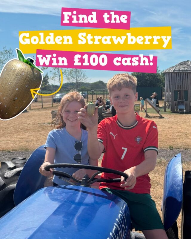 The second Golden Strawberry has been found! 🍓

Well done to Jasper, who is planning on spending his £100 on FIFA points! ⚽

Another golden strawberry has now been hidden in the park... who will be the first to find it and win £100 cash?