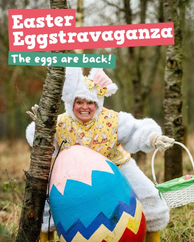 Easter starts now! 🥚🗺️

Easter Eggstravaganza is officially live, and the Easter Egg Hunt has returned to the Countryside Adventure.

From 28 March to 12 April, little adventurers can roam, meet the animals, 

Early bird tickets are now available; grab yours before they hop away 🐰

Book today 👉🔗