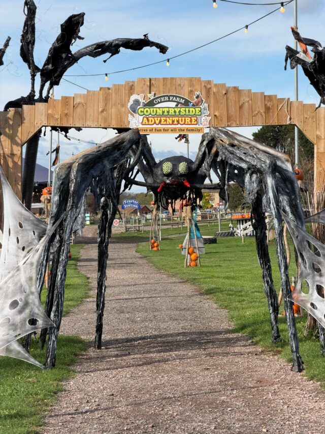 Just because summer has finished, that doesn't mean the fun has to end...

The countdown is on to the spookiest time of the year! 👻

Join us for Spookyard this October half-term!