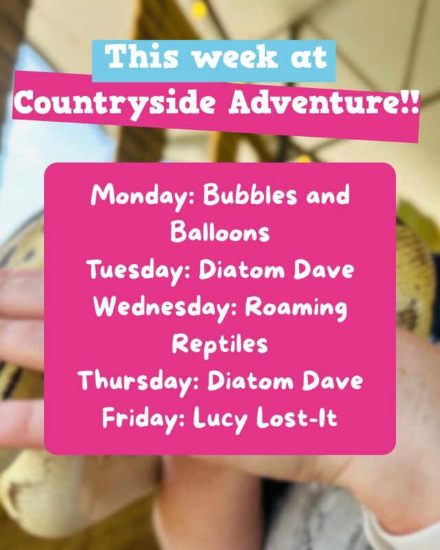 This week at Countryside Adventure 🌞

Monday: Bubbles and Balloons 🎈
Tuesday: Diatom Dave 🧪
Wednesday: Roaming Reptiles
Thursday: Diatom Dave 🦠
Friday: Lucy Lost-It 🎪

Plus Rover's foam parties every day this week! Which day will you be choosing?