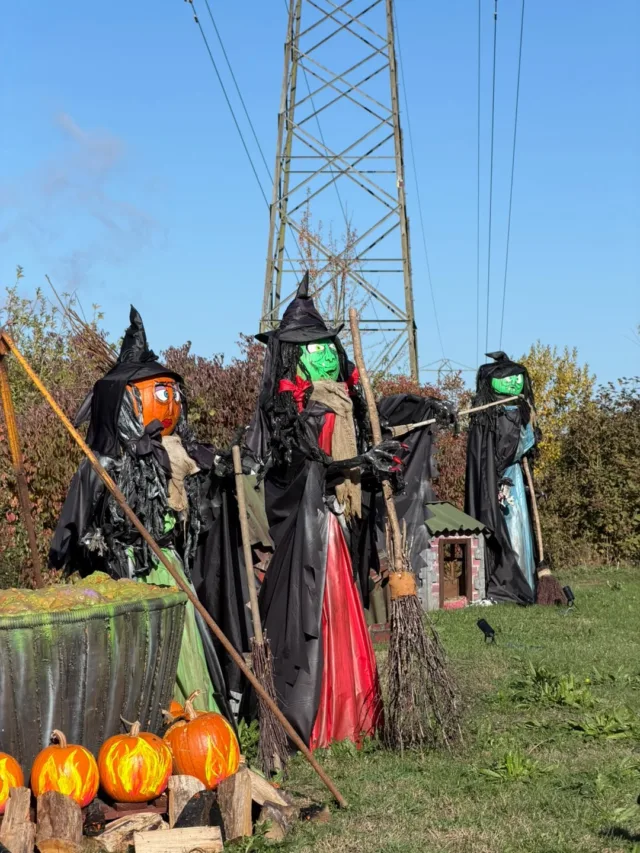 Here's what to expect this half term at the farm park...

🐈‍⬛ Zombie shows throughout the day in the Round House
🐈‍⬛ Daily costume parade 
🐈‍⬛ Scarecrow trail with a prize
🐈‍⬛ Unlimited outdoor play
🐈‍⬛ Tractor-trailer rides
🐈‍⬛ Pick 'n' mix shop
🐈‍⬛ Quad train adventures
🐈‍⬛ Face painters
🐈‍⬛ Animal trail
🐈‍⬛ Corn cannon
🐈‍⬛ AND the nature trail will reopen for the final time this year!

Not got your tickets yet? Book them online now 🎟️