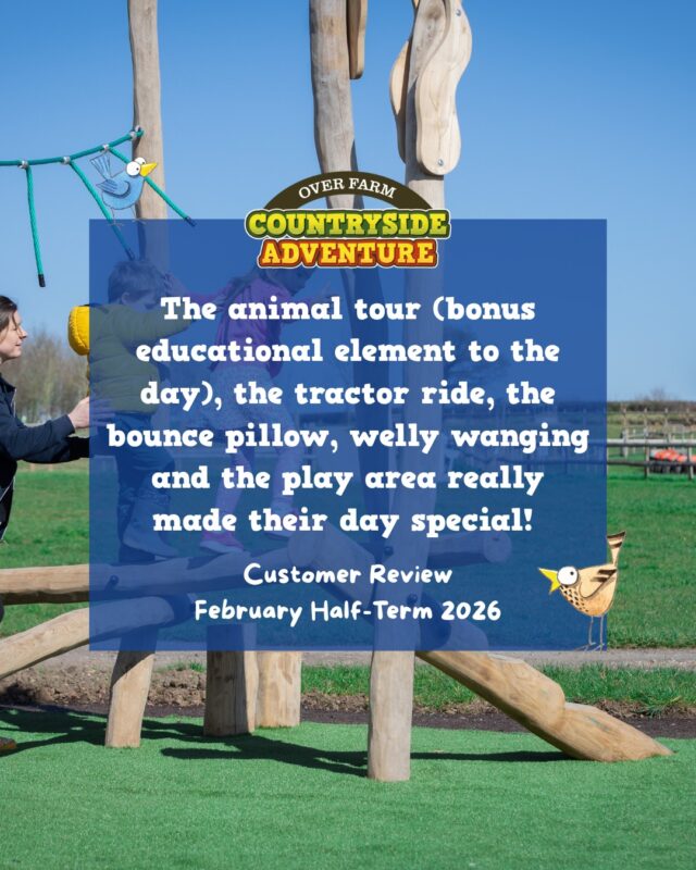 There really is so much to do at Countryside Adventure! 😲

From feeding the animals to mini-golf and our staff's genuine love and knowledge of the farm animals, every day spent with us will be filled with making the very best memories! 

Join us each weekend until the Easter holidays for care-free fun in the fresh air 🌞