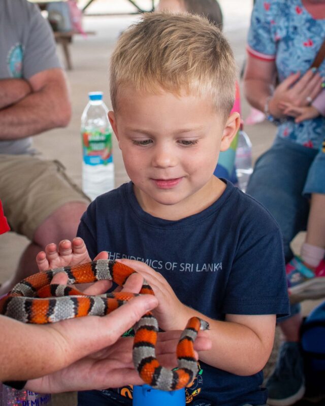 There is only one week to go until things start to get a little wild on the farm! 

Rover the Farmer will be back every day, and we will have new wild encounters throughout the week:
Saturday 23rd: Roaming Reptiles 🦎
Sunday 24th: Romaing Reptiles 🕷️
Monday 25th: Dinosuar Encounters 🦖
Tuesday 26th: Meet our Unicorns 🦄
Wednesday 27th: Bird of Prey Displays 🦅
Thursday 28th: Bird of Prey Displays 🦉
Friday 29th: Bird of Prey Displays 🐦‍⬛
Saturday 30th: Roaming Reptiles 🐢
Sunday 31st: Roaming Reptiles 🐍

Grab your tickets while you can and save on the gate prices!