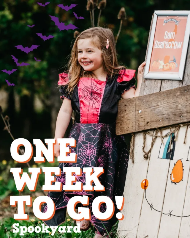 One week to go until Spookyard returns! 👻

🧟‍♀️ Zombie shows and entertainment throughout the day
🚜 Tractor-trailer rides 
🆙 Bouncing pillows for all ages
🛝 Endless outdoor play 
🚂 Quad train adventures
🧛‍♂️ Halloween costume parade every day
🍬 Pick 'n' Mix shop
🐦‍⬛ Scarecrow trail with a prize!
🎃 Rob's famous pumpkin sculpture trail

📍 Over Farm, Gloucester, GL2 8DB
💰 Tickets from £12.99 per adult and £15.99 per child