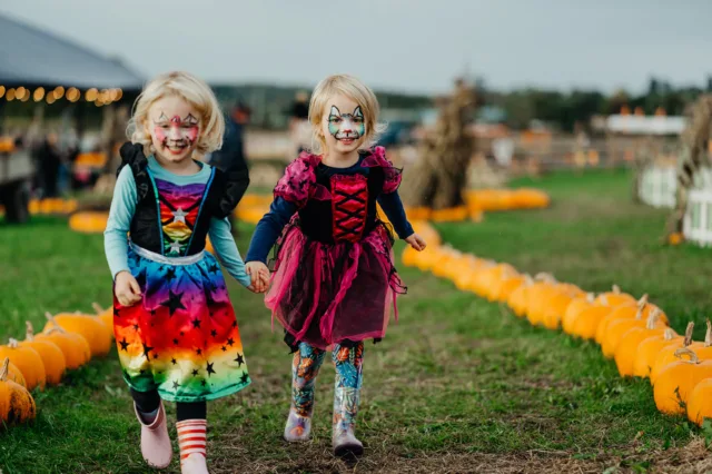 Thinking forward to the half term already 😱😅😬

Don't panic, the farm park has you covered for the little ones this October 😉

With endless activities to keep the kids busy for a whole day, including:
🎤 Live shows
🍁 Wicked pumpkin displays
🚜 Tractor ride
🚂 Quad train ride
⛳️ Mini Golf
☄️ Ball cannon
🛝2x play areas
🌽 Maize Maze
🪾 Woodland trail
🐐 Animal trail
And more!

Whats not to like?! 🧡

To find out more and to book, head on over to our website: https://www.overfarm.co.uk/over-farms-farm-park/spookyard-halloween-festival/

💲from £10.49pp
📍Over Farm, Gloucester, GL2 8DB