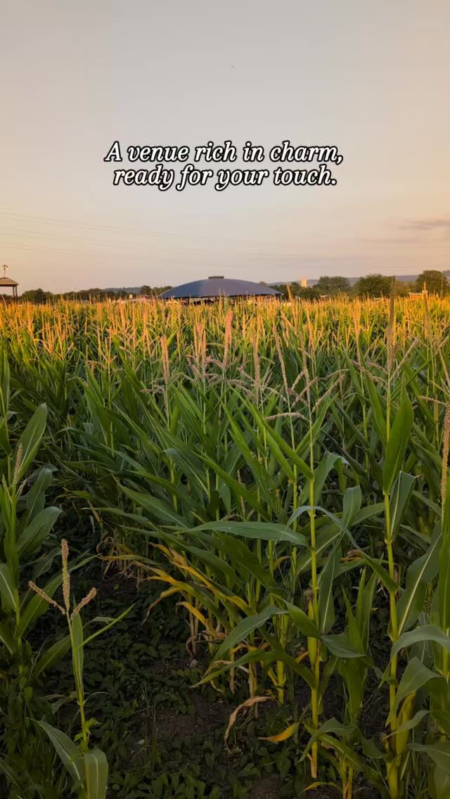 ✨ Come and visit us on 11th January ✨

The 11th January could be the day you say YES to your dream wedding venue! We can't wait to meet all our potential new couples and have a catch up with those already booked in. 💍
Book yourself in and come visit us at Over Barn. 
We have a team of wonderful suppliers joining us. 

Over Barn is a gorgeous, rustic 19th century barn. 
The perfect backdrop for your ceremony and reception. 

➡️ Click story or DM for booking link.