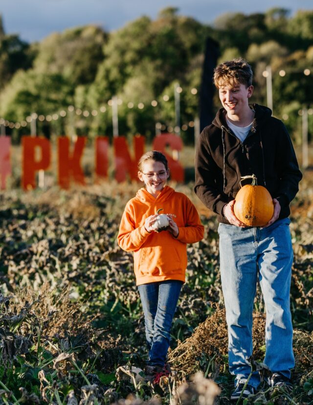 It won't be long until we are surrounded by a sea of orange 🧡

Have you booked your Pick Your Own tickets yet? Get planning your October day out and save on early-bird prices!