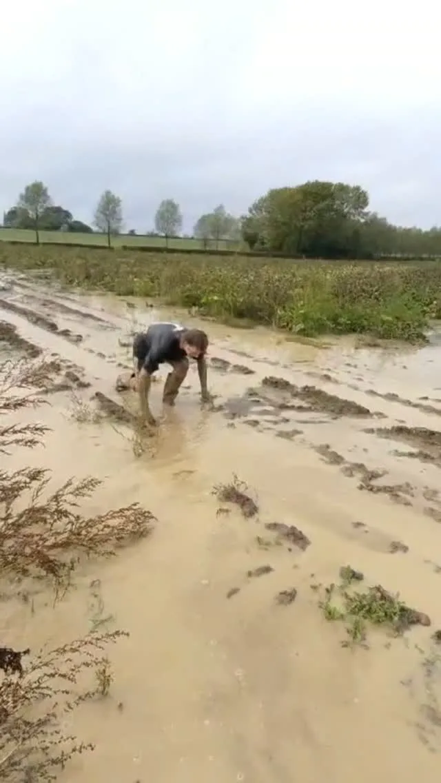 We’re going to be honest… working at the pumpkin patch can get a little messy 🎃

There’ll be mud. There’ll be pumpkins. There’ll be plenty of people asking where the biggest one is. And there may even be the odd soggy sock. 🫠

But there’ll also be plenty of laughs, autumn vibes and the chance to help create some cracking memories for our visitors.

So if you’re not afraid to get your hands dirty, we might have just the job for you.

Join our PYO and Pumpkins After Dark team this autumn. Apply on Indeed 👻