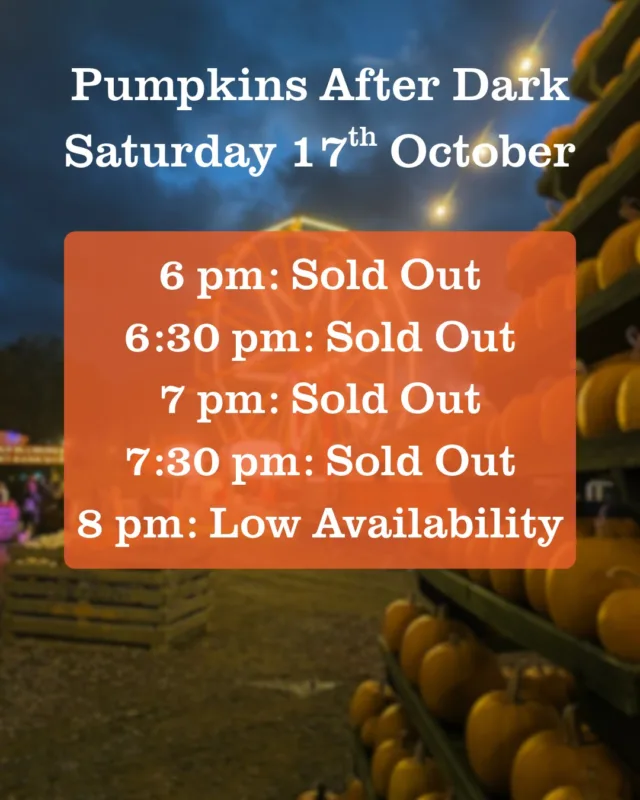 Want to join us tonight? Make sure you have your tickets booked before we really do sell out!

Our early arrival slots have already been filled, so please only arrive for them if you have a ticket; we don't want to turn anyone away. 

Tickets for the later slots are still available 🎟️ https://www.overfarm.co.uk/pick-your-own/pumpkins-after-dark/