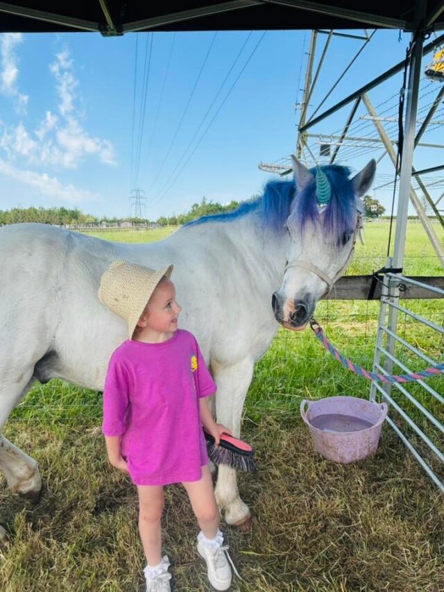 What's on at the farm this weekend?

🚜 Rover will be back in the roundhouse with his Farmyard Fun Show, along with his afternoon foam party at Countryside Adventure!
🛒 The Farm shop, deli and butchery will be open all weekend, 9 am - 5 pm
🦄 Unicorns will be back in the farm park on Sunday, but book before travelling; tickets are selling at record speed!
🍰 The cafe will be open for breakfast, lunch and all the cake 9 am - 4 pm for both eat-in and takeaway options. 

For all of this and more, head over to our website! 🍓