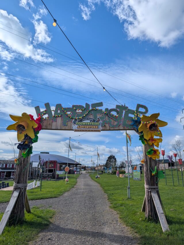 Our Easter Eggstravaganza is back!

Join us at Countryside Adventure today for: 

🐰 Live entertainment from Marky Jay's Great Variety Show
🐰 Facepainters
🐰 Easter crafts
🐰 Tractor-trailer rides
🐰 Quad train rides
🐰 Mini golf
🐰 Bouncey pillows 
🐰 Animal trail
🐰 Fantastic food options from some of our local favourites!

There are still tickets available for all of today's fun, so head over to the website and book your place now 🎟️🎟️