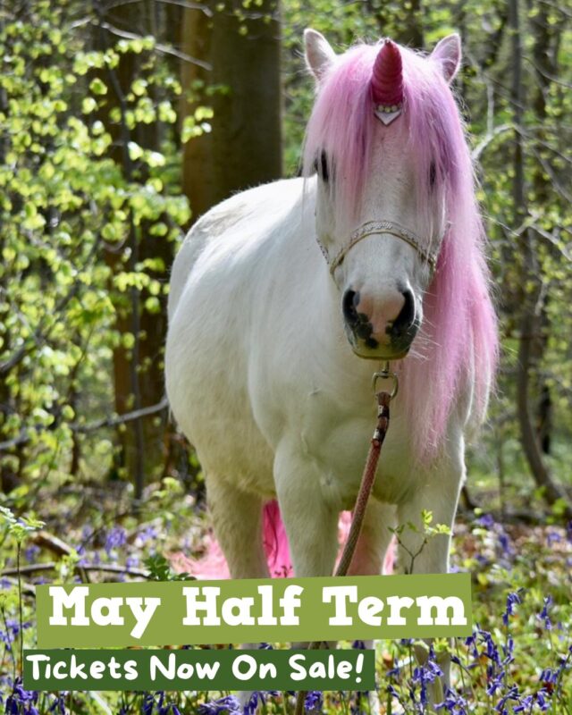 Looking for some pretty wild plans this May Half Term? ✨

🦎 Roaming Reptiles
🦖 Dinosaur Encounters 
🦄 Unicorn Experiences
🦅 Birds of Prey
🚜 Tractor Ride
👨‍🌾 Rover the Farmer
⛳ Mini Golf
🚂 Quad Train
🛝 Playareas
🐑 Animal Trail 
🤪 And so much more fun to be had!

General admission tickets are now on sale 🎟️