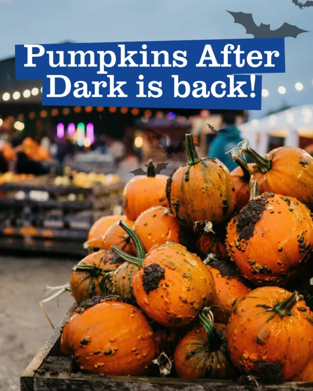 Pumpkins After Dark returns this week!

Join us Friday and Saturday from 6 pm for twilight pumpkin picking, live music, fire shows, tractor rides and something a little spooky 👀

Tickets are still available, but they won't be for long 👻

📍 Over Farm, GL2 8DB
💰 Just £12.99 when booked online