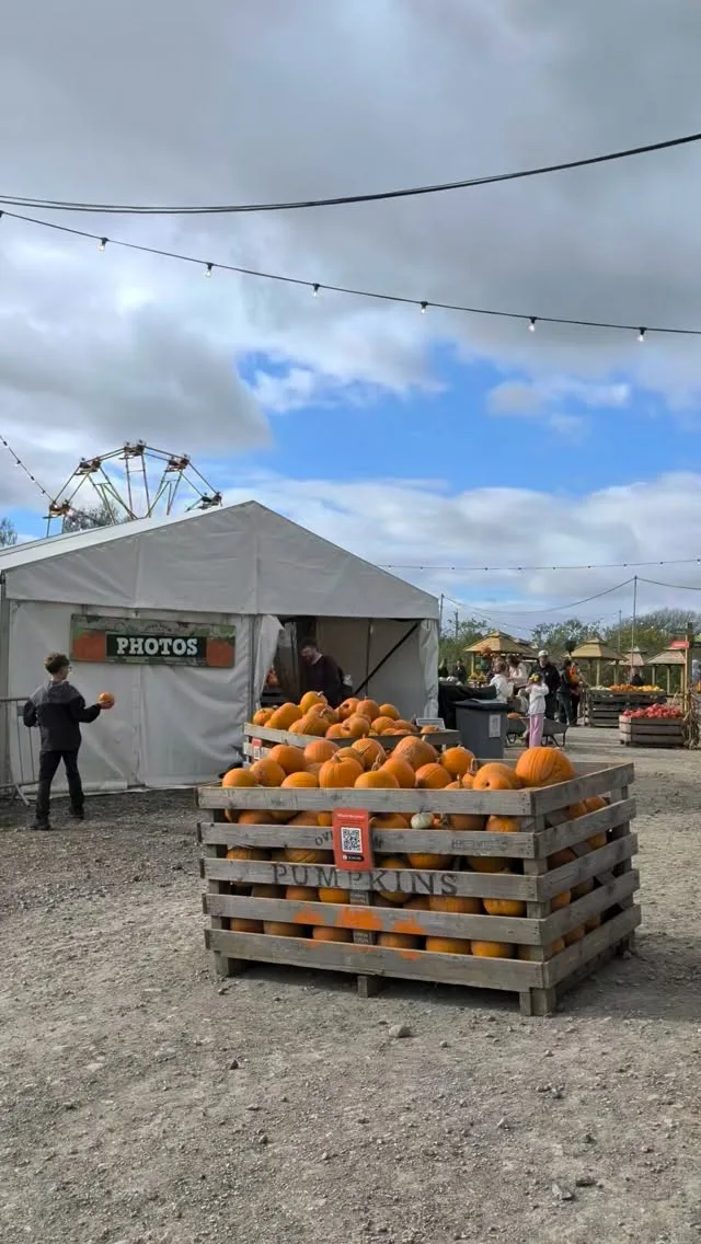 Another day in the patch 🎃

Thank you to everyone who battled through the traffic to join us for our Pumpkin Festival and Pumpkins After Dark tonight.  We hope you had the absolute best time! 

There are still slots available for our Pumpkin Festival tomorrow, so if you are yet to join us, book those tickets now 🎟️