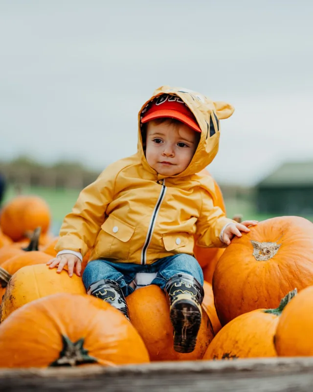 It is officially your last chance to bag those £1.95 tickets! 🎃

Our Pumpkin Festival Early Bird Offer comes to an end very soon, so if you want in on Gloucestershire's best pumpkin patch (as claimed by us!), then you'll want to get booking!