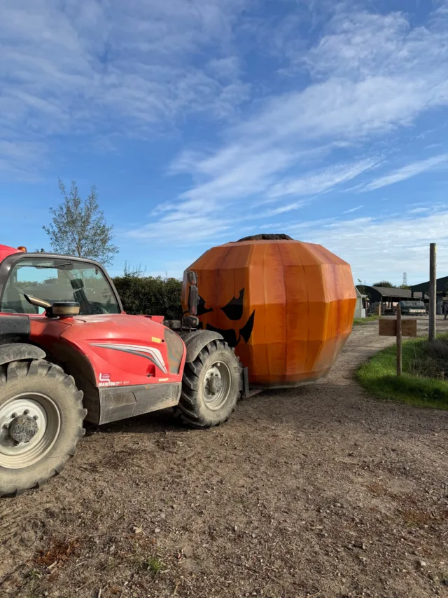 The BIG pumpkin is getting put in place by Rich and the team this morning 🌅🎃🧡

It's in a new location this year and will be surrounded by a sea of pumpkins and squash 🎃🎃🎃🎃🎃🎃

We'll keep you updated with sneak peek pics 📸

Want to see it in person?
Head to our website using the link in our bio!

💲from £3pp

📍Over Farm, Gloucester, GL2 8DB