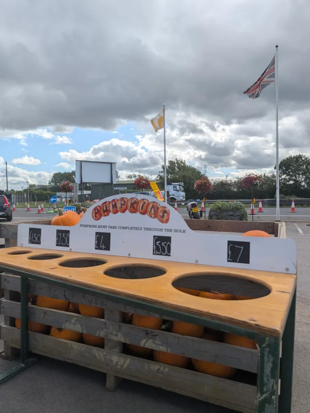 The pumpkin flag is at full mast, which can only mean one thing!

Over Farm Pumpkins are now available to buy at the farm shop! 🎃🎃