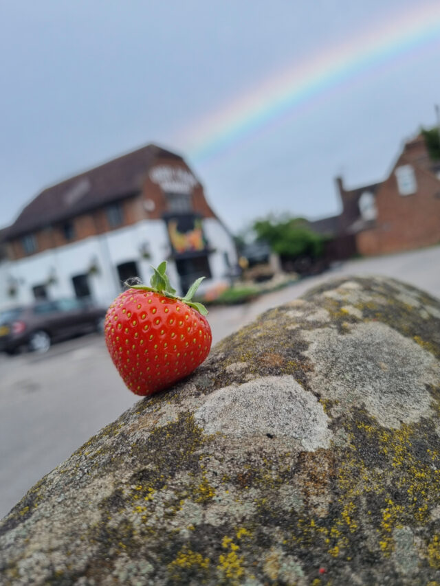 Strawberry picking, an iced coffee, and a browse around the farm shop? That's our kind of summer day 🍓☕

After your adventure in the strawberry fields, pop into the farm shop for everything you need to create the perfect Eton Mess, plus plenty of deli favourites for an easy sunshine supper.

We can't wait to see your strawberry hauls!

Find out more and book online:
https://f.mtr.cool/aeajxdlyyu

Or, check out the link in our bio.
