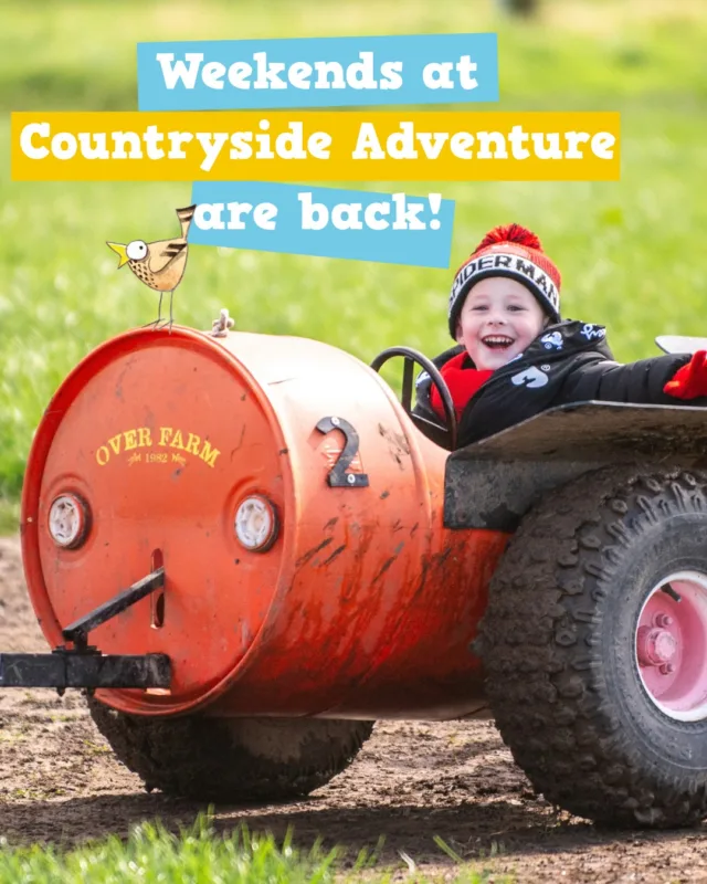 WEEKENDS ARE BACK! 🙌

After a little September break, the farm park is back open and ready for weekends full of family fun!

Come and say hello to all your favourite animals, jump on a tractor ride, get muddy on the quad train and make the most of unlimited play on our bouncing pillows, mini golf and play areas 🐐🚜

And if you haven't visited us since we were named Gloucestershire's Best Family Day Out, what are you waiting for?

Every visit helps support our family-run farm and the people who work hard to keep the farm park, animals and all the fun going.

So grab the family, come and see us this weekend and support your local farm while you're at it ❤️