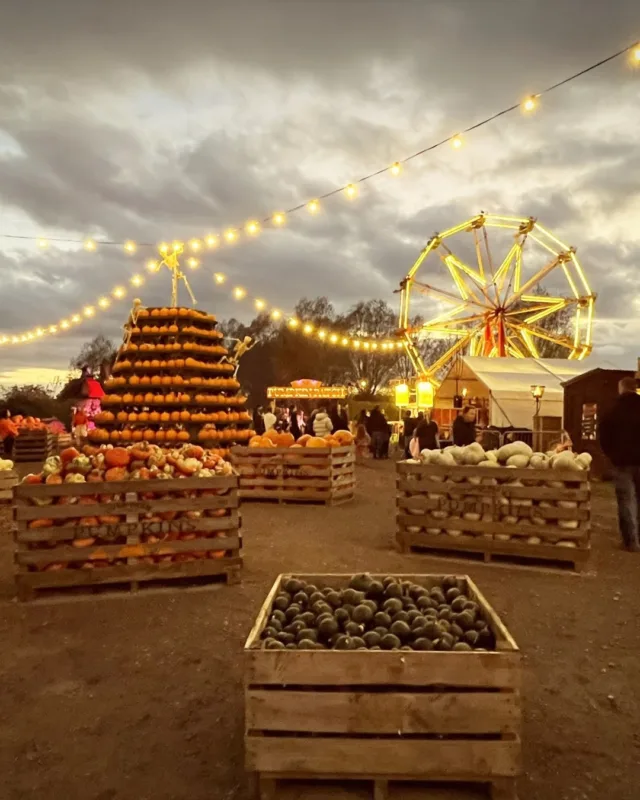 Another weekend in the patch is complete!

This weekend was the return of Pumpkins After Dark, and for those of you who haven't joined us yet, we will be revealing our spooky secret soon 👀

Want to experience the magic of Pumpkins After Dark? We will be back on Friday and Saturday from 6 pm 🎃

📍 Over Farm, Gloucester, GL2 8DB
💰 £12.99 per person, £2 per dog