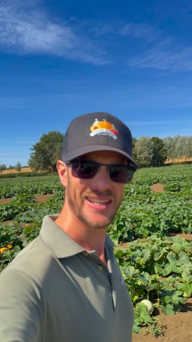 Rees is back with another Farming Diary from the pumpkin patch, and doesn't it look good! 

Hands up if you are in summerween mode, or are you waiting for things to get a little spooky? 🎃