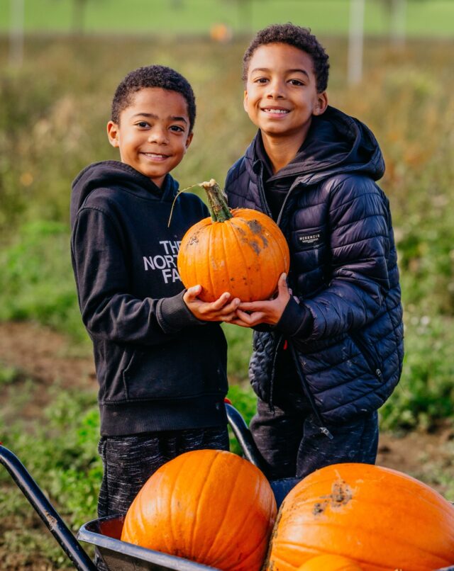🎃 Tickets are now available for Pick Your Own Pumpkins!

Thousands of pumpkins, crisp autumn days and a little bit of mud... it's all part of the authentic pumpkin-picking experience at Over Farm.

🎟️ Secure your tickets today.