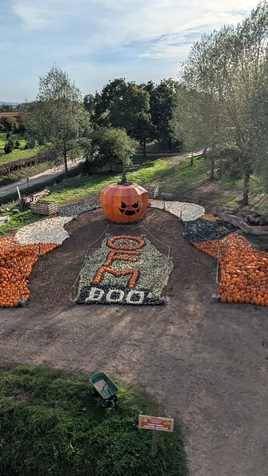 Our newest addition to the pumpkin patch is complete! 

A big well done to Coco, Charlotte, Shannon and Mat for all their hard work, choosing and moving the pumpkins across the farm for this project and creating an absolutely stunning display. 

We can't wait to see all your photos from the ground and from the top of the ferris wheel too!