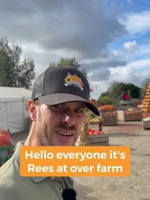 Sneak peak at the pumpkin arena before tomorrows opening 👀🎃 Its looking fab and the weekends weather looks to be faaaar better than last year 😮‍💨🥳 We can't wait to see you here and finally open the patch for 2026! FOMO?! Find out more and book online using the link below, or take a look at the link in our bio: https://f.mtr.cool/f3l1wq2yxa 📍We're at Over Farm, Gloucester, GL2 8DB 💰Entry is from £2.99 and pumpkins start at £1.50
