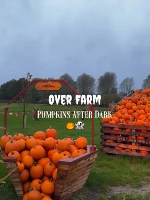 Grab your wellies, grab your friends - Video Credit @thegoodmoodfoodblog