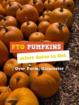 Spooky season has officially started