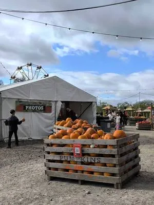 Another day in the patch 🎃 Thank you to everyone who battled through the traffic to join us for our Pumpkin Festival and Pumpkins After Dark tonight. We hope you had the absolute best time! There are still slots available for our Pumpkin Festival tomorrow, so if you are yet to join us, book those tickets now 🎟️