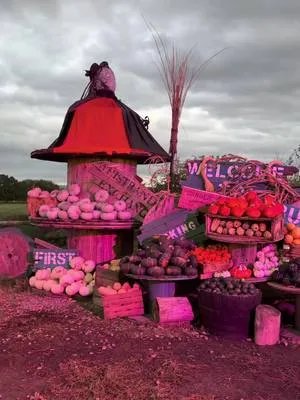 POV: you decided to make memories this autumn... 🍂 Pumpkins After Dark are back; all that's missing is you. 🌙 Twilight pumpkin picking 🌙 Live music 🌙 Local food traders serving up fantastic food 🌙 Live fire and light shows 🌙 Ferris wheel 🌙 Marshmallow toasting 🌙 Fully stocked bar 🌙 Photobooth 📍 Over Farm, Gloucester, GL2 8DB