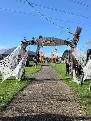 It's not just zombies in the farm park this week 🧟‍♀️ We have Noah's Ark, the nature trail is back, Tractor rides and quad train adventures. Even the sheep have been saying hello! 🐏 Join us all the way through to Sunday, the 1st of November, and see out the end of spooky season the right way! 🎟️ https://www.overfarm.co.uk/over-farms-farm-park/spookyard-halloween-festival/ 📍 Countryside Adventure, Over Farm, GL2 8DB 💰 Adults from £12.99 | Children from £15.99
